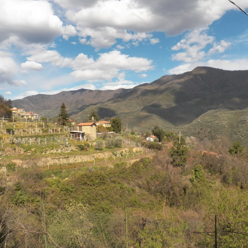 casa