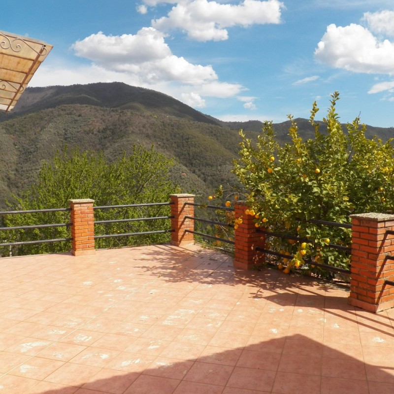 terrazza (3)