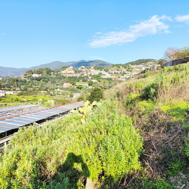 terreno (2)