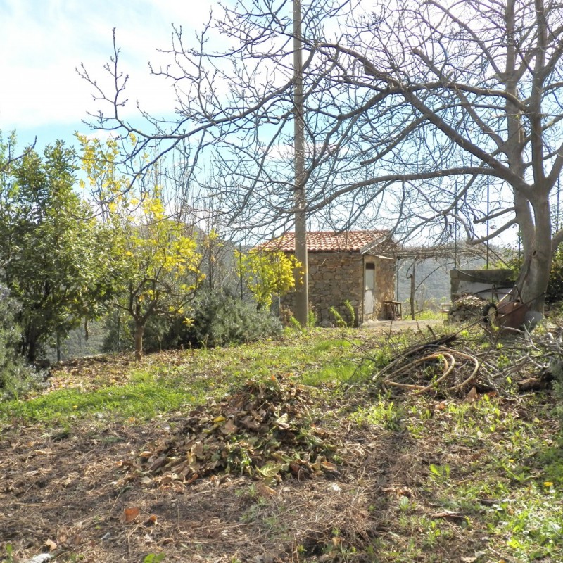 terreno (2)