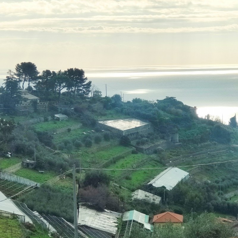 terreno (3)