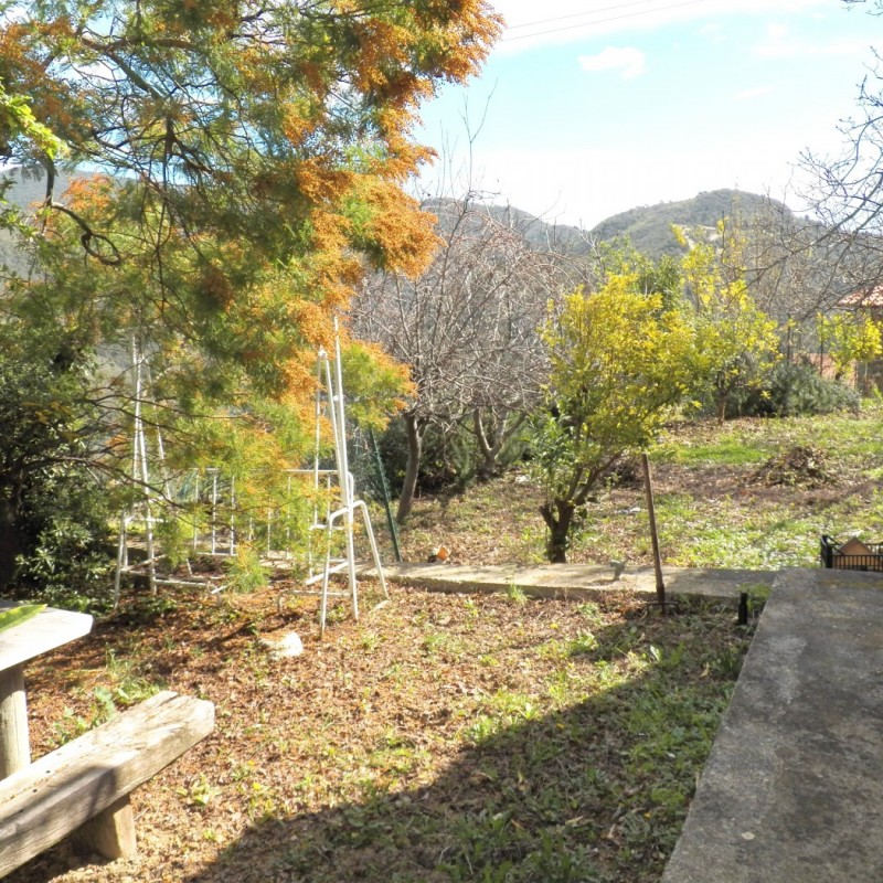 terreno (3)