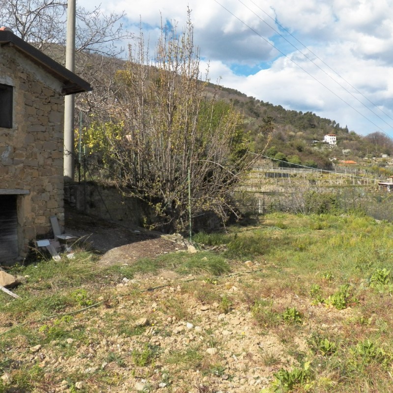 terreno (5)