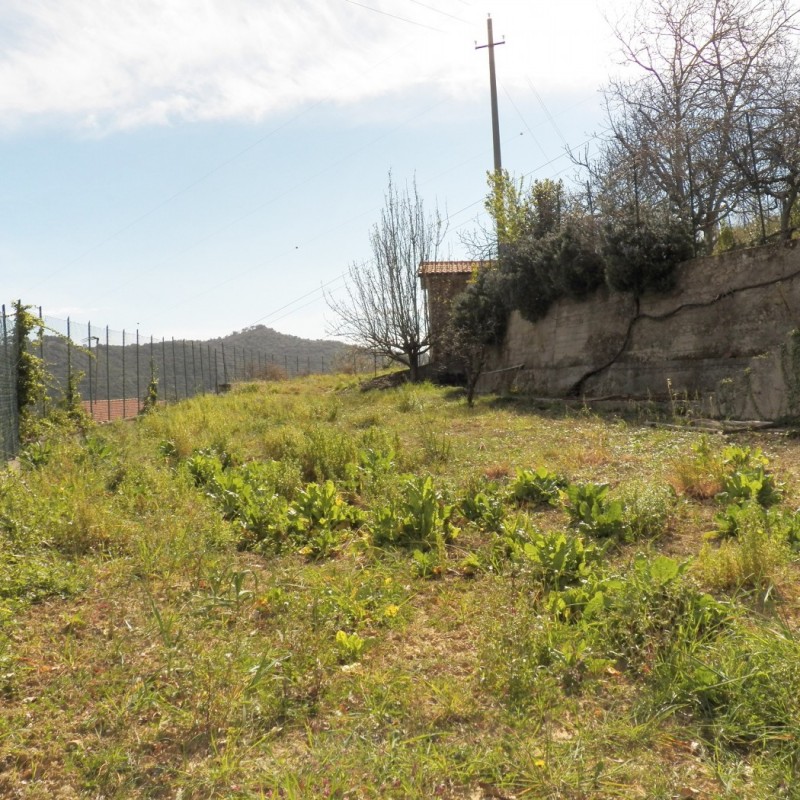 terreno (6)