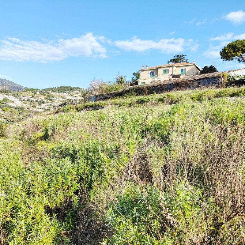terreno