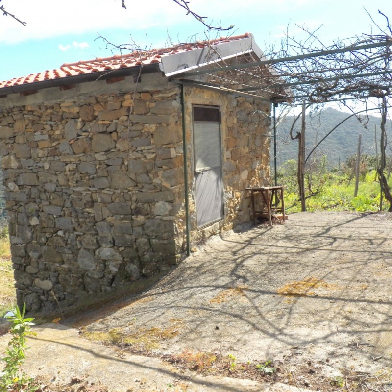 terreno