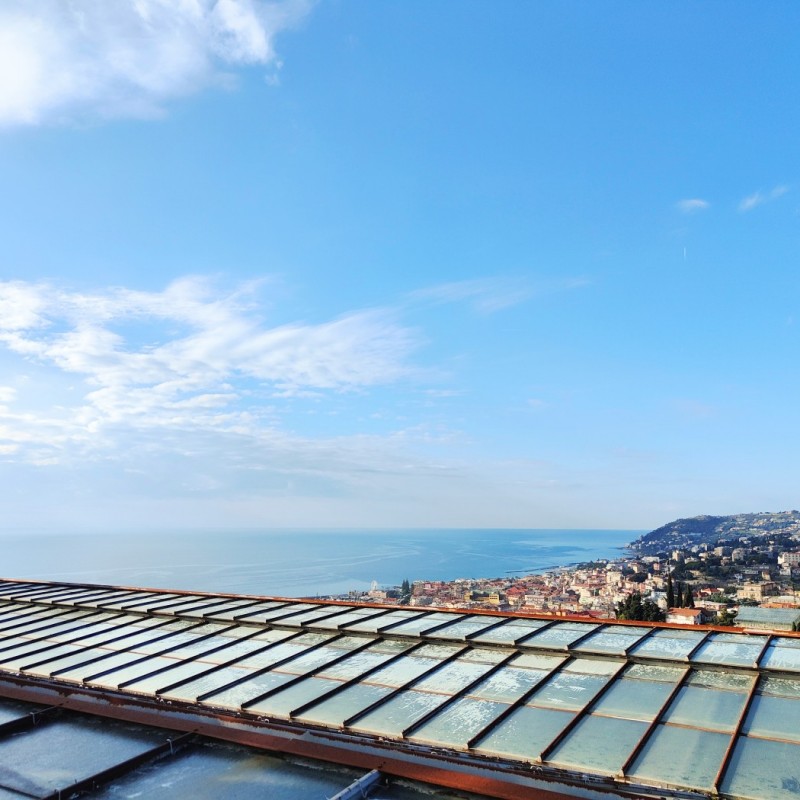 vista (2)