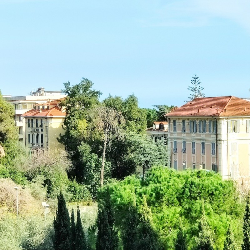 vista (2)