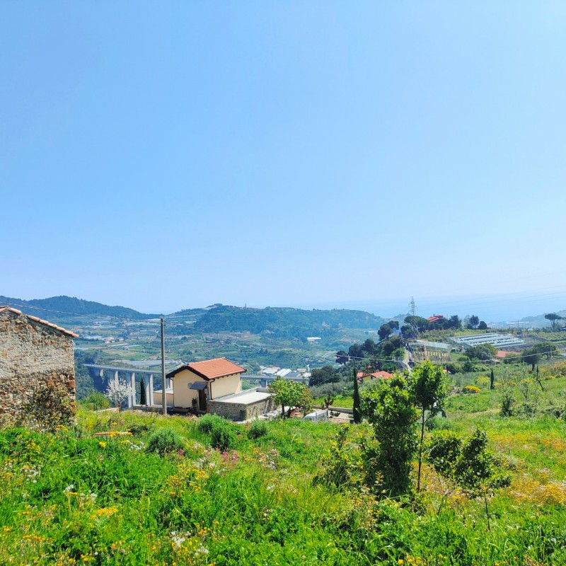 rustico (3)