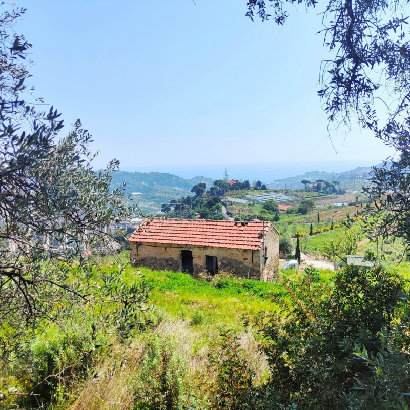 rustico (5)