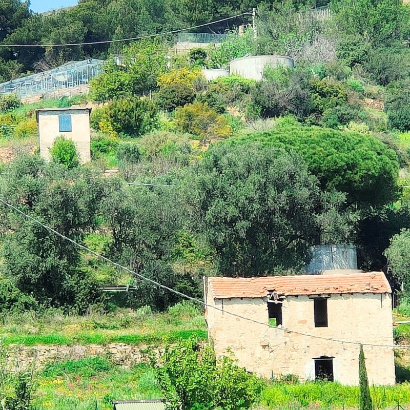 rustico (7)