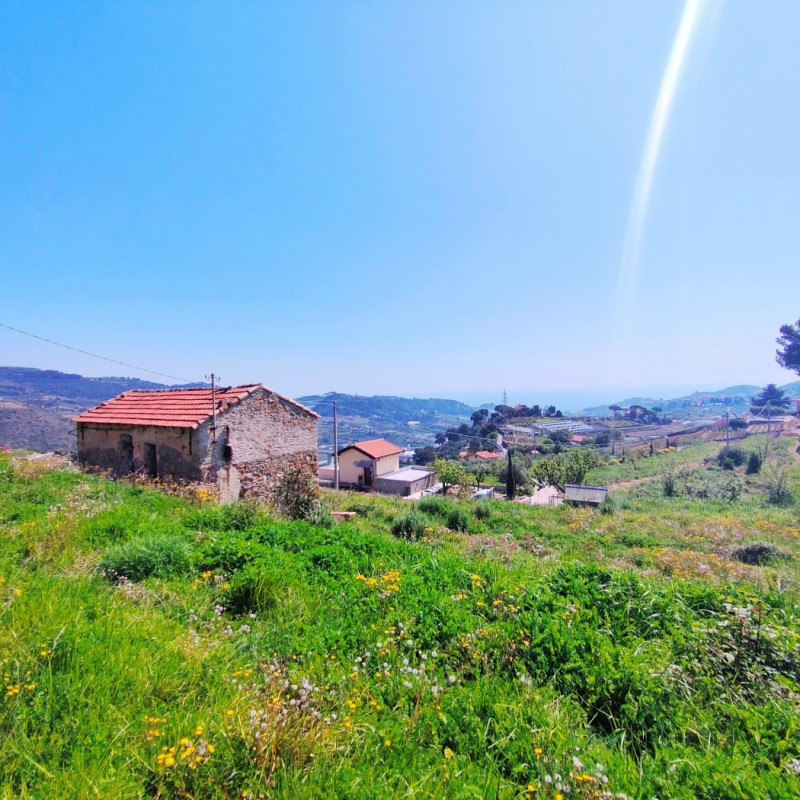 rustico