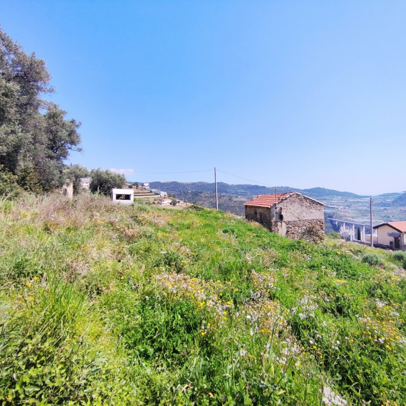 terreno (2)