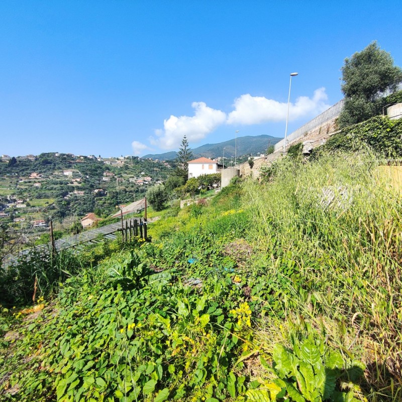 terreno (4)
