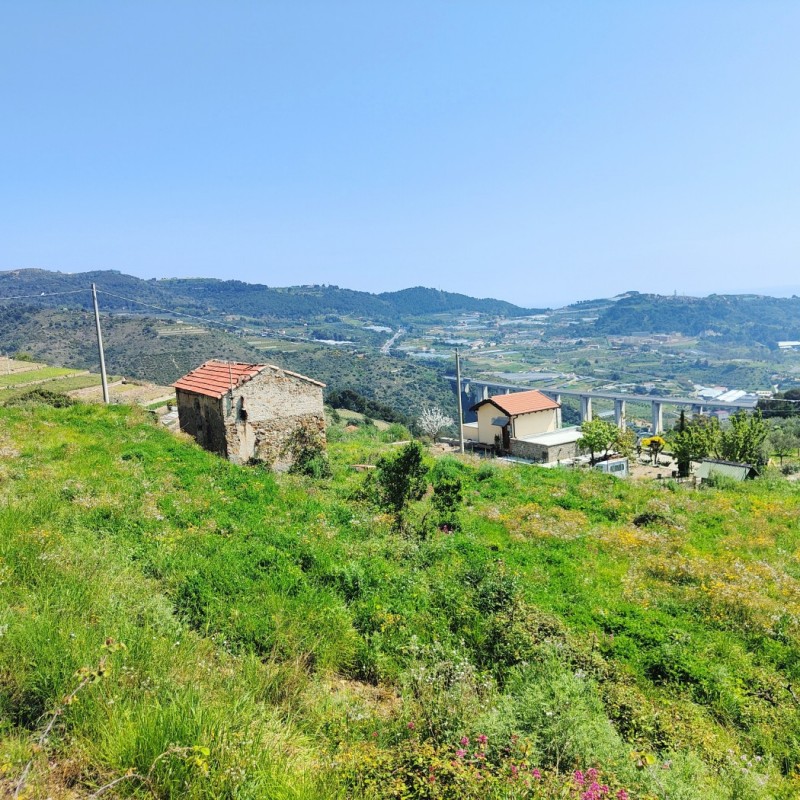 terreno