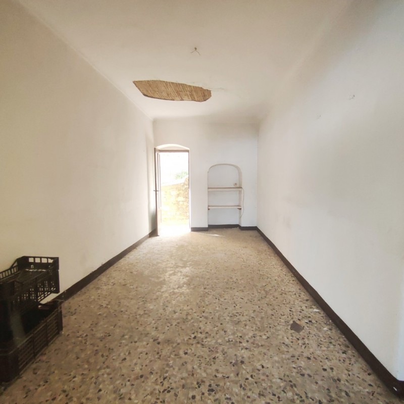 camera (2)