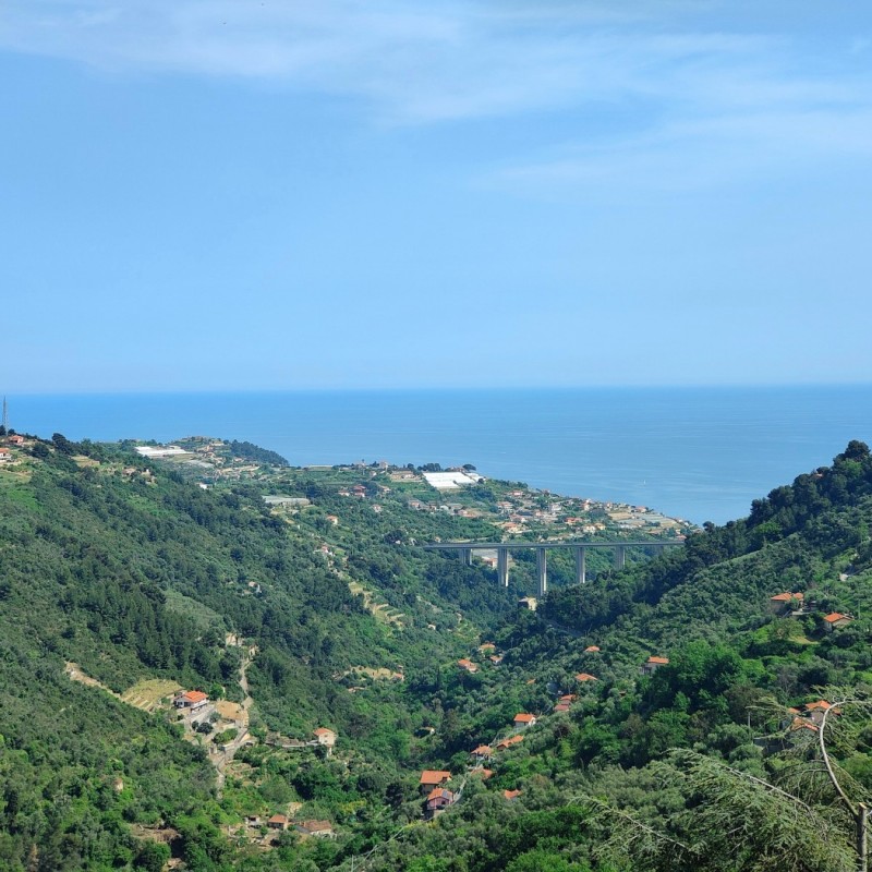 vista
