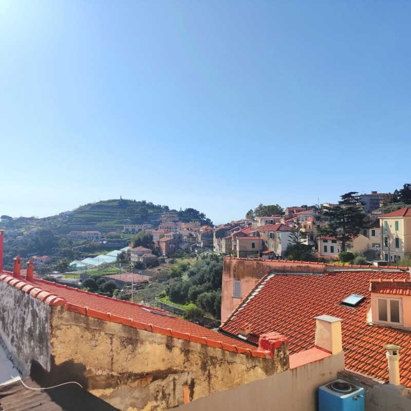 vista (2)