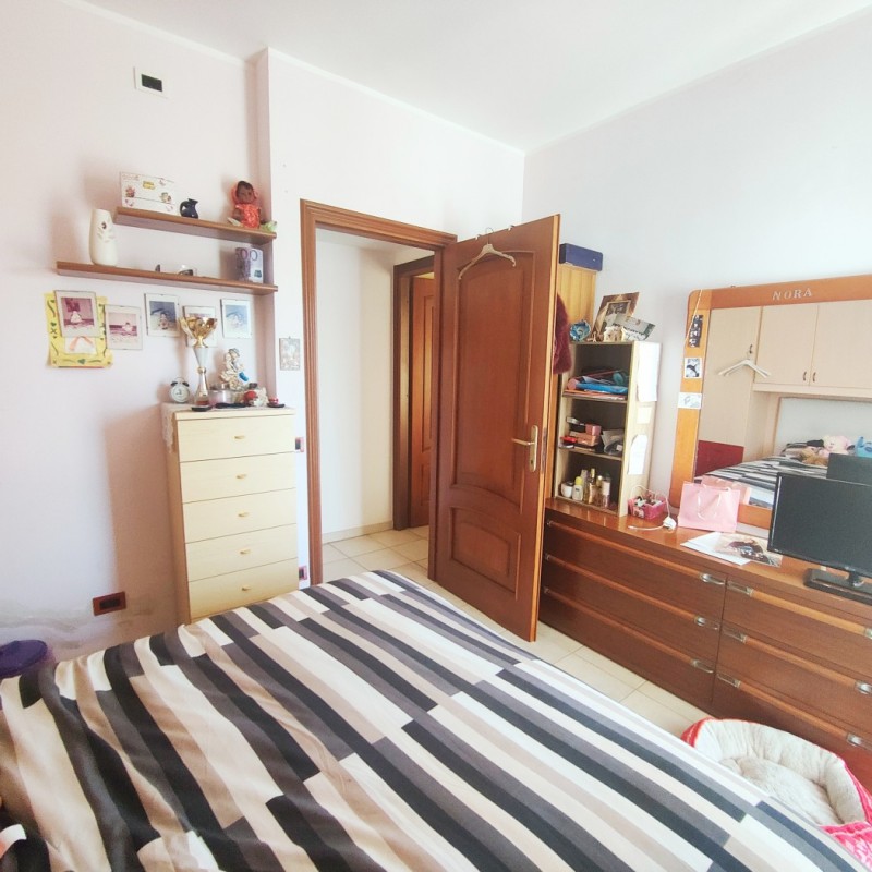 camera (3)
